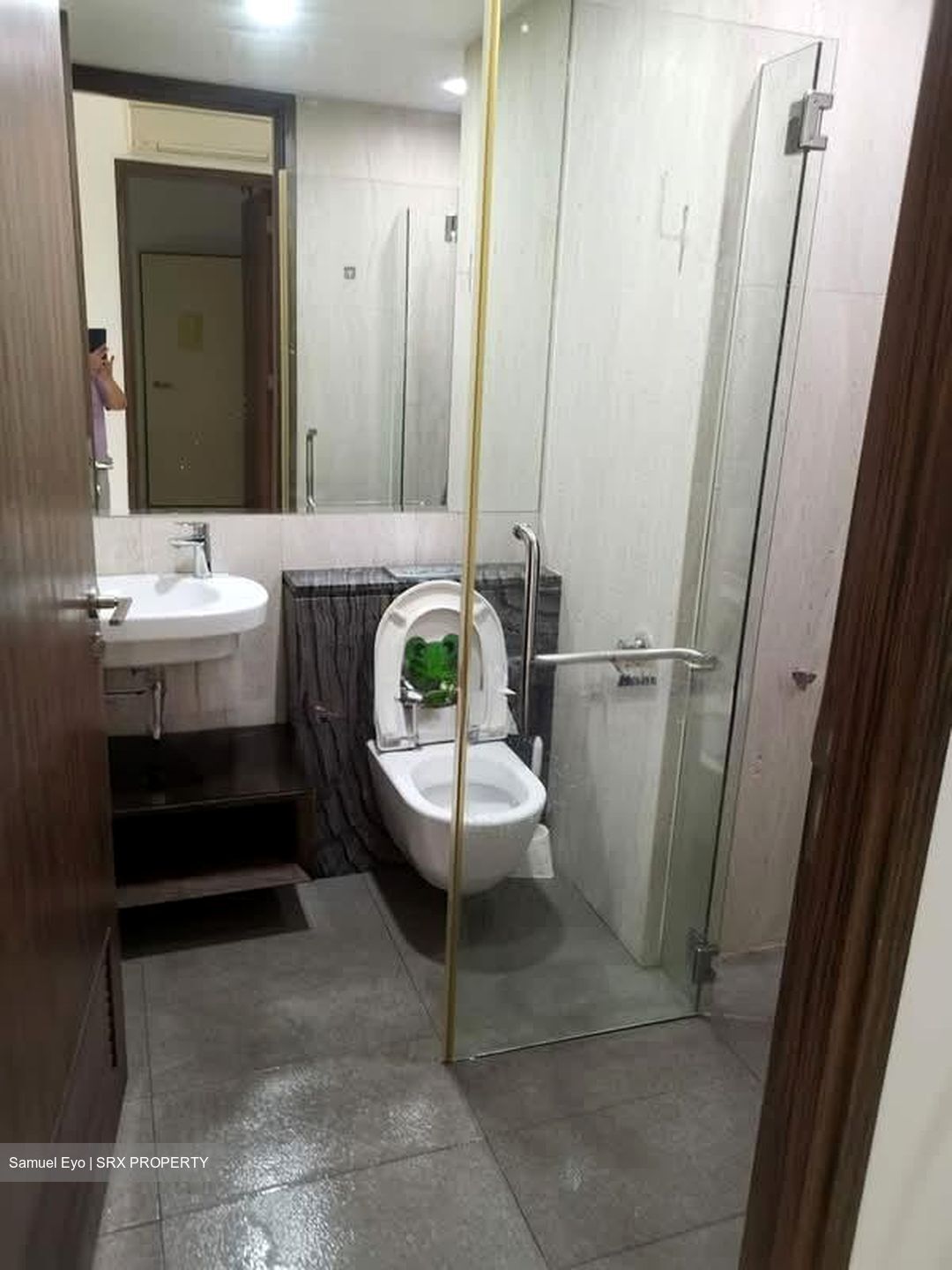 Stellar RV (D10), Apartment #566629071
